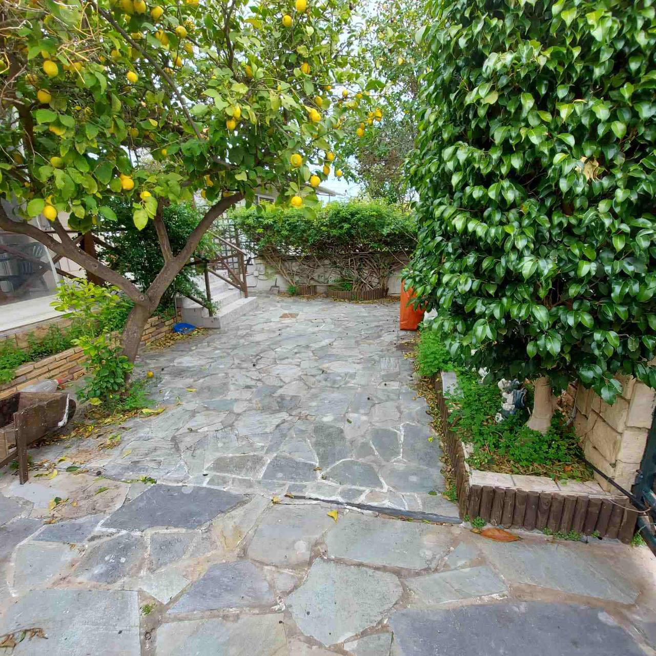 Вид на участок